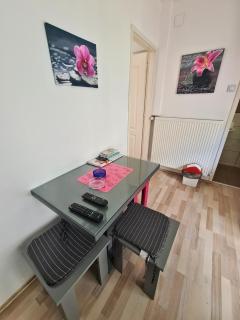 Maja Vujković Apartman 5 - Sokobanja - 5