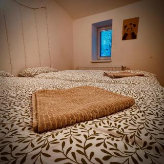 Zoubkova apartment - 2 rooms near exhibition center - Nový Lískovec - 6