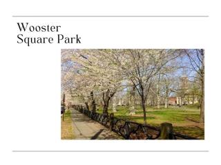 DTWN Yale Wooster Square Laundry - New Haven - 1