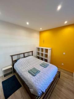 Charmant appartement à Roanne - Roanne - 7