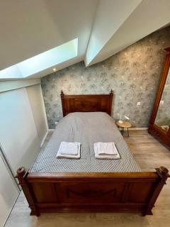 Charmant appartement à Roanne - Roanne - 2