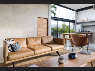 Luxury Penthouse 300m2 with Private Terrace & Pool - 3