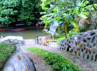 Casa Campestre El Silencio con Familias Exitosas - 4