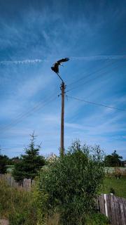 Domek ogrzewany pompą ciepła - 3