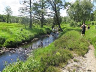 Super view Am Flachsberg - 3