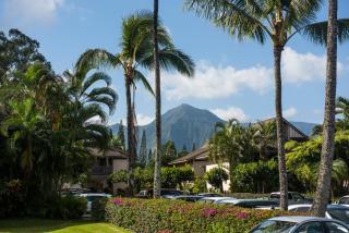 Princeville Sands Studio with Pool and Hot Tub (137-B) - Princeville - 2