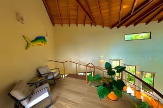 Monkey Ranch - Dominicalito - 4