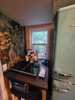 Forest Nook - 6
