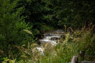 Domek na Skałce - Żabnica - 5