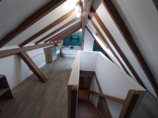 Sous les toits-Hypercentre-Pas de Frais de Ménage - Mulhouse - 7