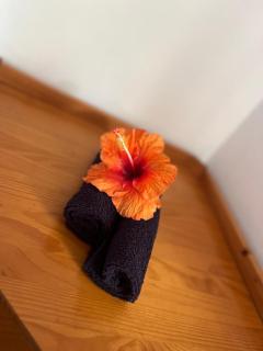 TIKI LODGE Hiva oa - 9