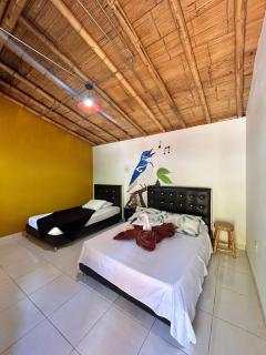 Casa En El Árbol Hotel Génova - 2