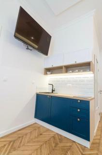 August Braun Luxury Apartment in City Center - Sarajevo - 4