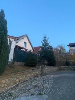 Villa Luiza C - Şura Mare - 2