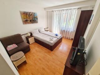 Maja Vujković Apartman 1 - Soko Banja - 8