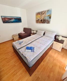Maja Vujković Apartman 1 - Soko Banja - 7