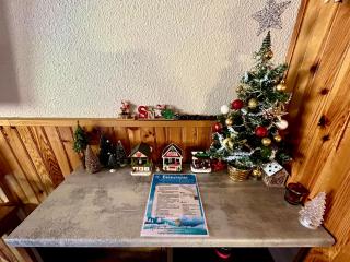 Duplex avec vue exceptionnelle parking et wifi gratuit - Allos - 9