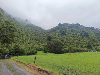 Gumboot Paradise Eco Stay - Barrytown - 3