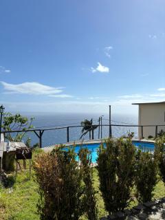 Sea view - Câmara de Lobos - 9