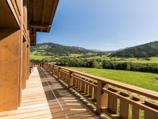 Chalet near Praz sur Arly ski area - Praz-sur-Arly - 1