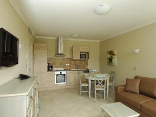Beautiful apartment near Lac de Saint-Cassien - Callian - 6