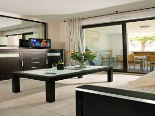Luxury apartment with large terrace - Mandelieu La Napoule - 2