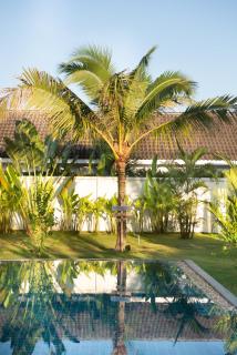 Bungalow Khao Lak - Khao Lak - 8