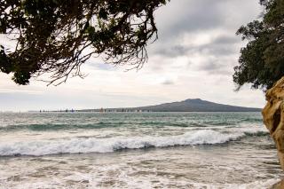 Cozy Room in Devonport - Auckland - 3