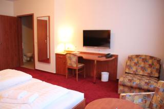 Hotel Thüringer Hof - Rudolstadt - 5