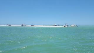 New Listing! Bayside Unit, Balcony, Private Beach! - Siesta Key - 1