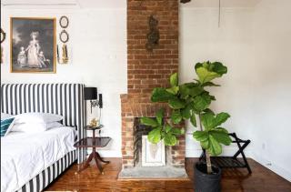 Chic Cottage near the Lower French Quarter - New Orleans - 8