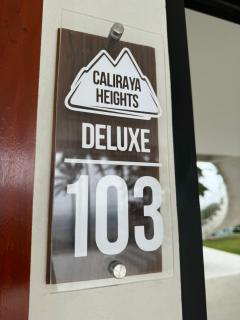 Villa Lorenzo @ Caliraya Heights Resorts - 9