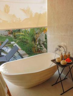 Arca Bali Villa 1 - Ubud - 2