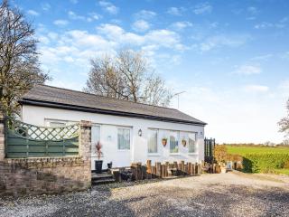 Ty Llyn Cottage - Brynteg - 9