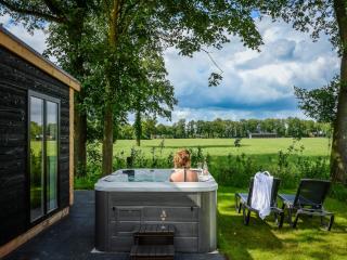 Unique wellness lodge on the Holterberg - Rijssen - 3