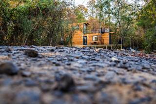 New - Pine View MicroCabin - Rare - 7