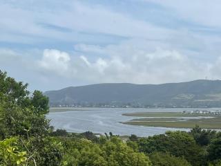 Room with a view - 4