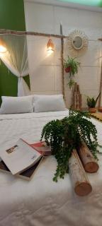 Pink Host - Vung Tau - 4