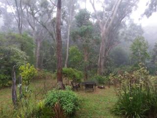 Blue Mountains Ferncreek studio retreat pet friendly - Hazelbrook - 6