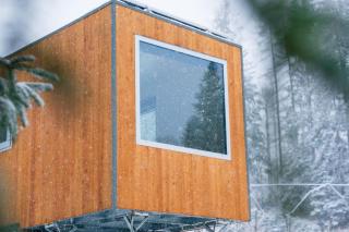 Una stanza tra i frutti di bosco a Sauris - Friland - Sauris - 3