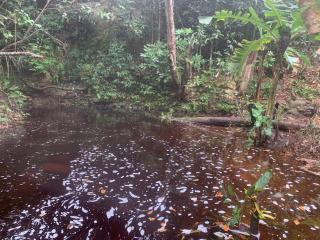 Quarto privativo no Quintal dos Sonhos - 4