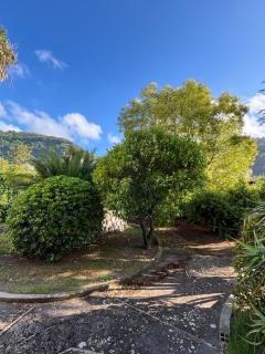 Casa Sa'Lena - Sorrento - Sorrento - 2