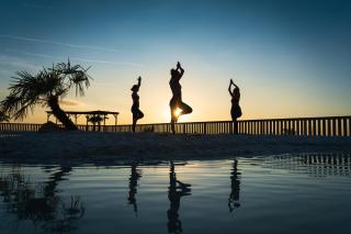 Camping Le Sequoia - 3