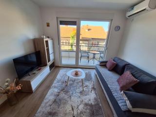 Apartman Šara - Vrnjačka Banja - 6