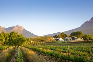 Mont Angelis - Stellenbosch - 3