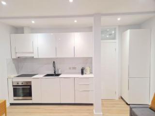 Modern 2 Bedroom flat 20 minutes from Oxford street - Londra - 6