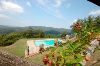 Agriturismo Badia Ficarolo - 5