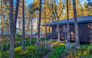 Awesome Home In Fyresdal With Kitchen - Fyresdal - 5