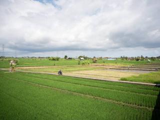 Peaceful 2BR villa near Canggu - Tumbak Bayuh - 1