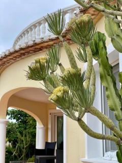 Villa Duke - Plusholidays - Casas de Torrat - 7